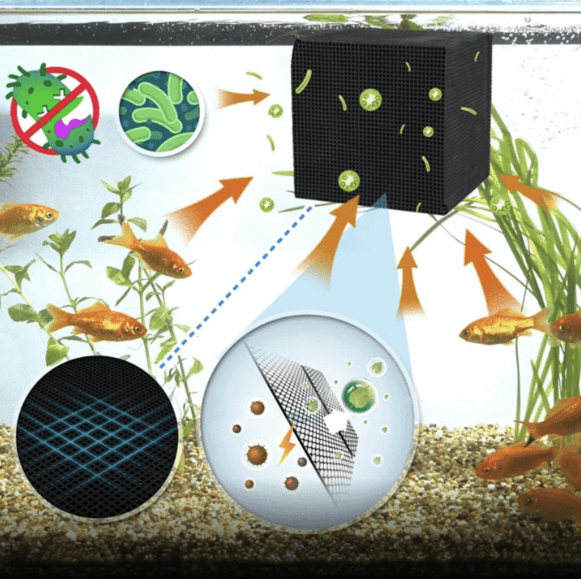 Cube purificateur d'eau pour aquarium💦2025 Nouvelle mise à niveau