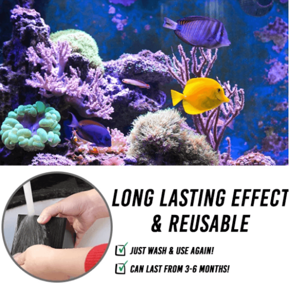 Cube purificateur d'eau pour aquarium💦2025 Nouvelle mise à niveau
