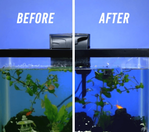Cube purificateur d'eau pour aquarium💦2025 Nouvelle mise à niveau