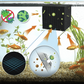 Cube purificateur d'eau pour aquarium💦2025 Nouvelle mise à niveau