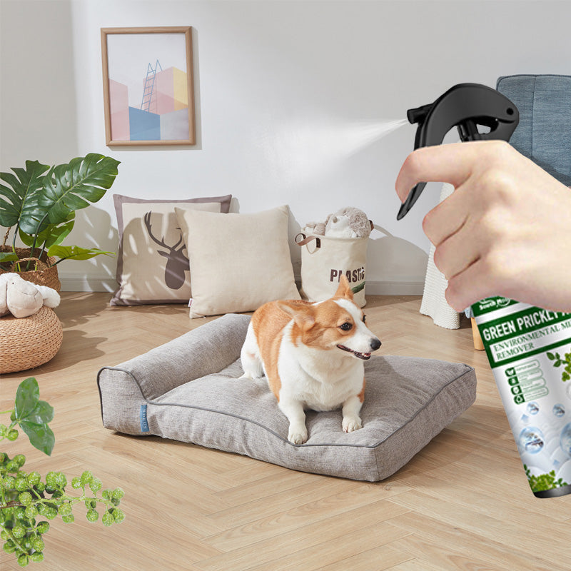 🌹 ⚡Offre limitée : achetez-en 2, obtenez-en 1 gratuitement⚡-🧑‍⚕️Spray puissant anti-acariens