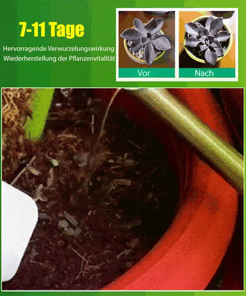 💎 ACHETEZ 1, OBTENEZ 1 GRATUIT ! 💎 Activateur de Croissance Végétale – Pour Toutes Plantes, Racines Saines & Fleurs Éclatantes 🌱🌿