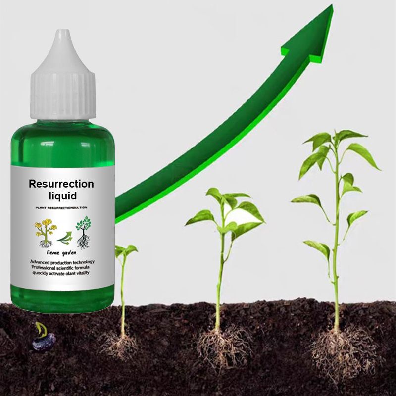 💎 ACHETEZ 1, OBTENEZ 1 GRATUIT ! 💎 Activateur de Croissance Végétale – Pour Toutes Plantes, Racines Saines & Fleurs Éclatantes 🌱🌿