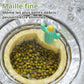 Filtre à Évier de Cuisine en Forme de Cactus