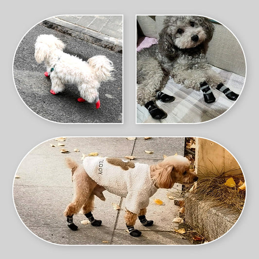 2 Paires de Chaussettes Antidérapantes et Imperméables pour Chiens