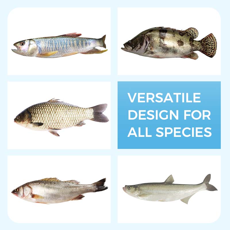 🎉Le bonheur des pêcheurs🎉 Leurre Souple Flottant en Forme de Ver - Appât Réaliste pour Pêche en Eau Douce et Salée 📢📢5 dernières heures : Grande vente⏰⏰