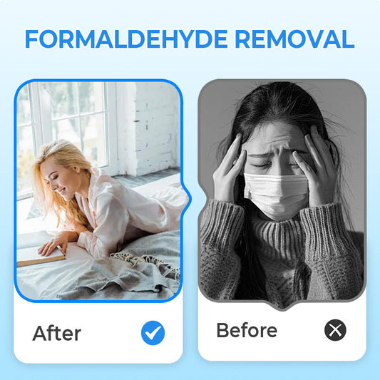 📢📢50 %  DE RÉDUCTION !! ⏰Purificateur d'air anti-formaldéhyde pour la maison🍃