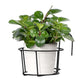 Nouveau Paniers suspendus support de Pot de fleur plus épais et plus robuste