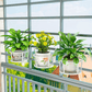 Nouveau Paniers suspendus support de Pot de fleur plus épais et plus robuste